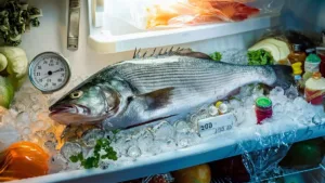 Jak dlouho vydrží ryba v lednici
